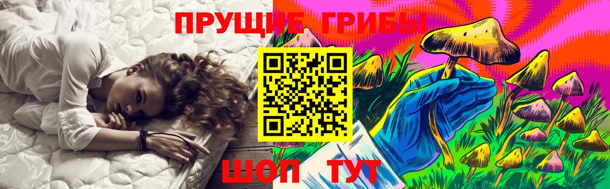 Псилоцибиновые грибы Psilocybe Кызыл