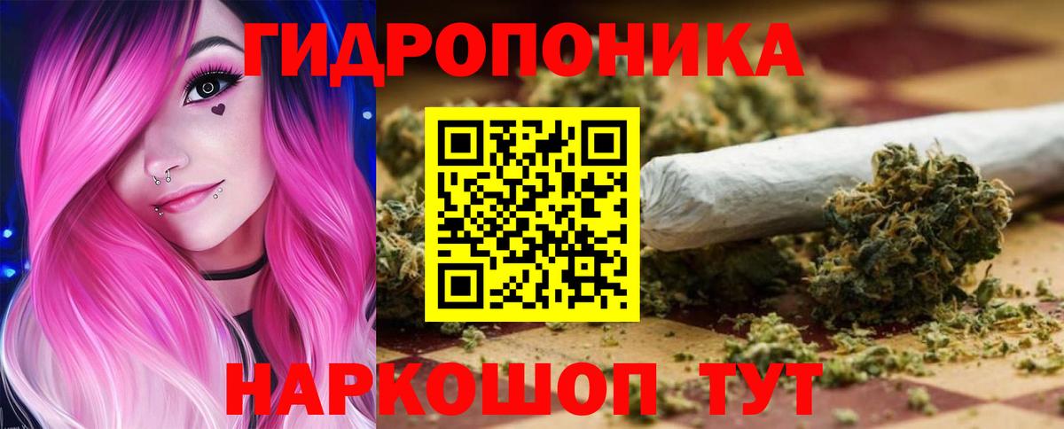 Бошки марихуана White Widow  Вход с VPN  Кызыл  Бошки Шишки тримм  Шишки марихуана SATIVA & INDICA  МАРИХУАНА MAZAR 